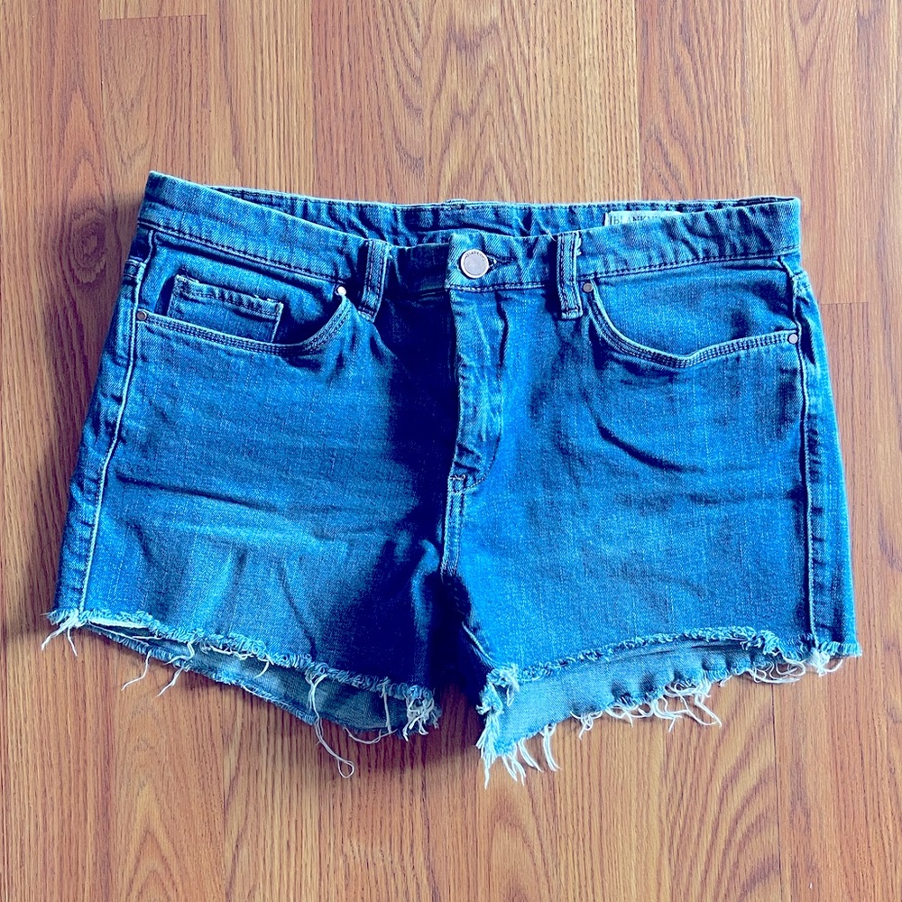 BlankNYC Hiker Shorts